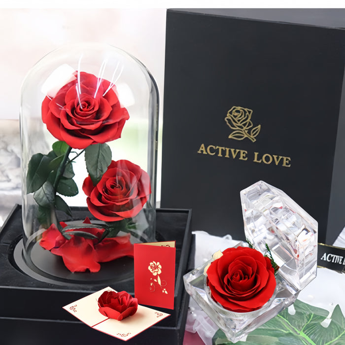 Bulk 3Pcs Gifts for Her Women Rose Flower Rose in Glass Cover Valentines Anniversary Wedding Gifts Wholesale