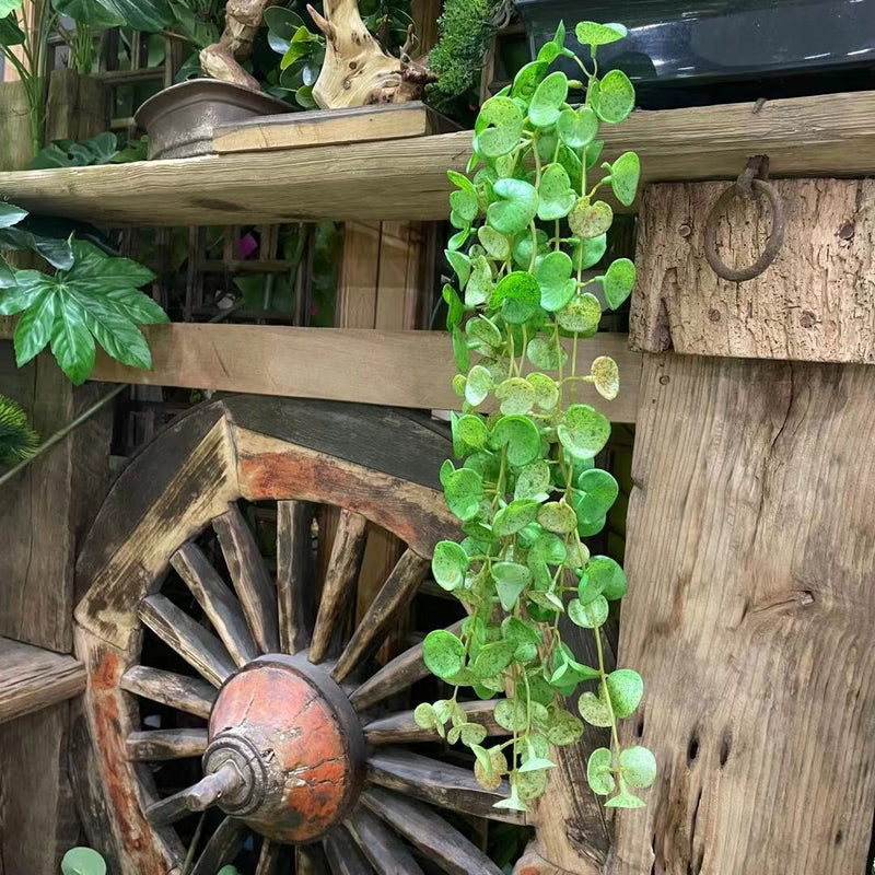 Bulk 23" Pennywort Garland Lucky Hydrocotyle vulgaris Hanging Greenery Plant Wholesale