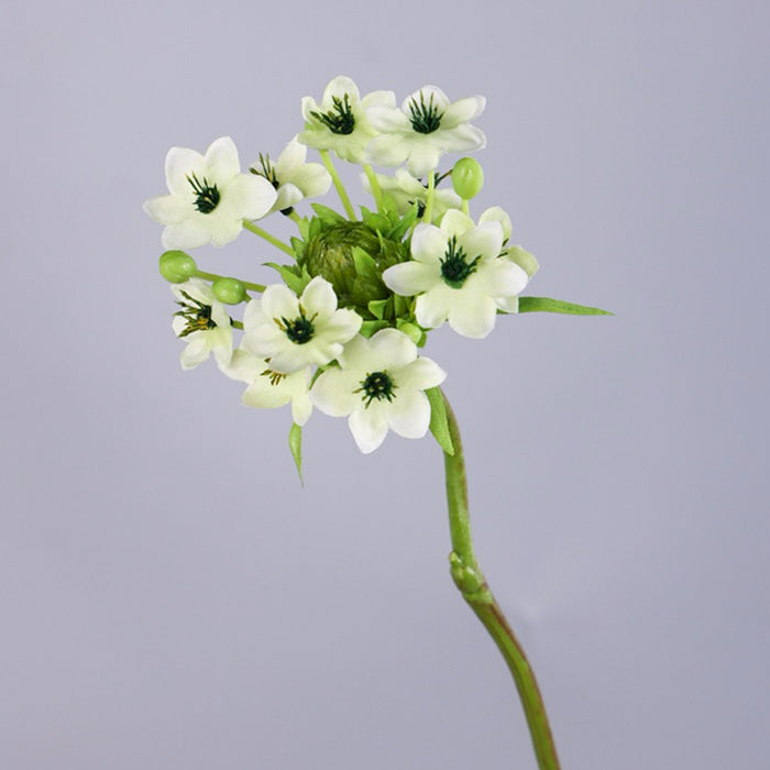 Bulk 25.5 inches Tall Star of Bethlehem Stem Silk Ornithogalum Flowers Artificial Wholesale