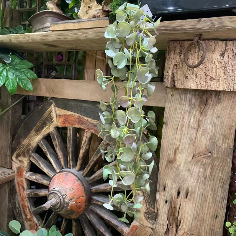 Bulk 23" Pennywort Garland Lucky Hydrocotyle vulgaris Hanging Greenery Plant Wholesale