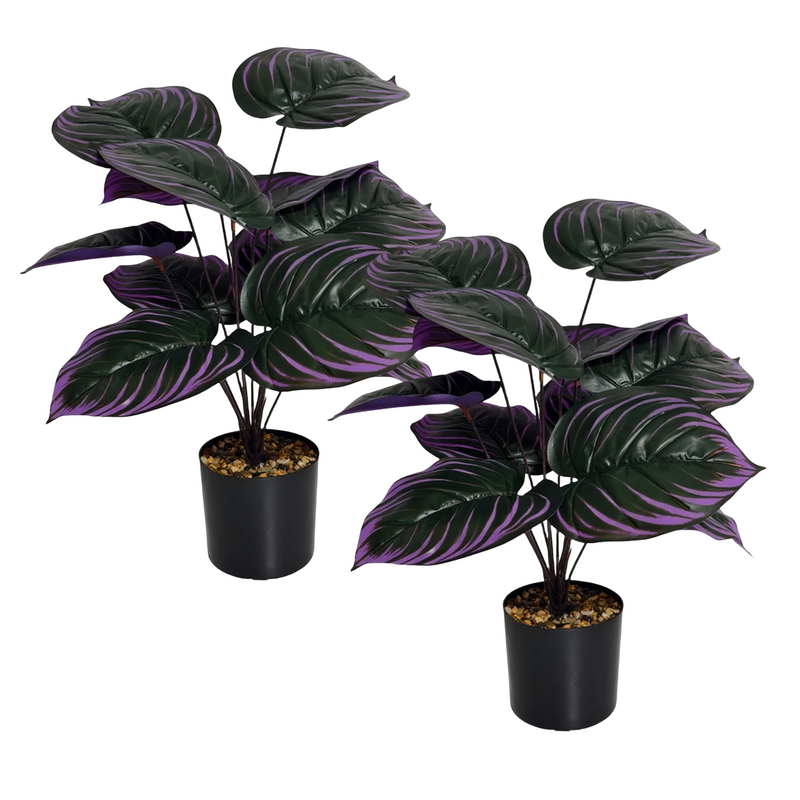 Bulk 2pcs Halloween Artificial Calathea Leaf Potted Plants Witch Color —  Artificialmerch