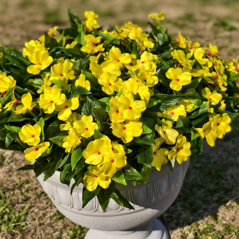 Clearance Bulk Impatiens Bush UV Resistant Flowers for Outdoors Wholesale