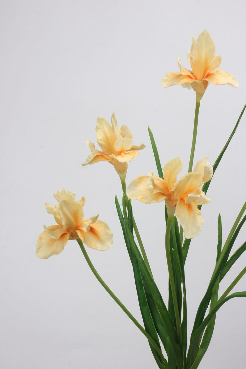 Tiges d'iris de 21,5 pouces de hauteur, fleurs d'iris au toucher réaliste, en gros, en exclusivité 