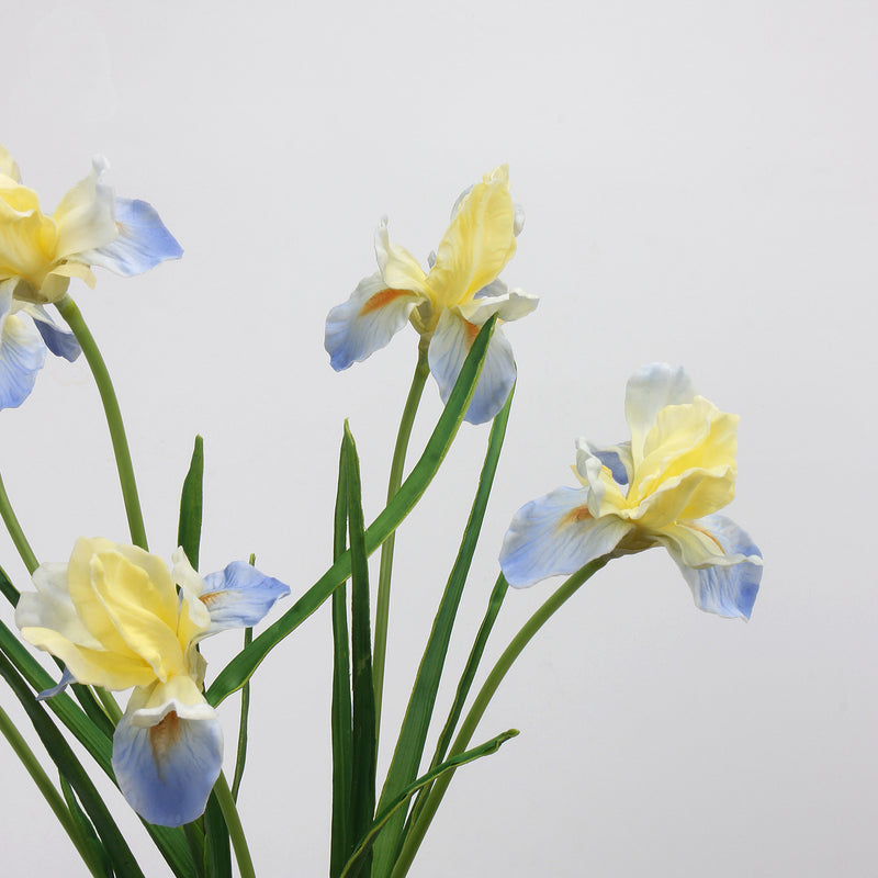 Tiges d'iris de 21,5 pouces de hauteur, fleurs d'iris au toucher réaliste, en gros, en exclusivité 
