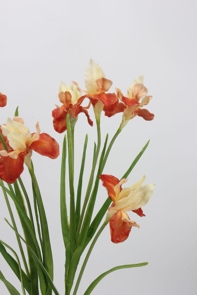 Tiges d'iris de 21,5 pouces de hauteur, fleurs d'iris au toucher réaliste, en gros, en exclusivité 