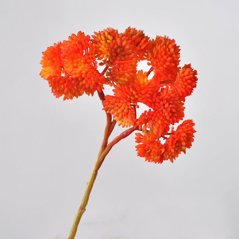 Liquidation en vrac 13 couleurs 8" Tiges de plantes succulentes Pick Plantes artificielles réalistes Vente en gros