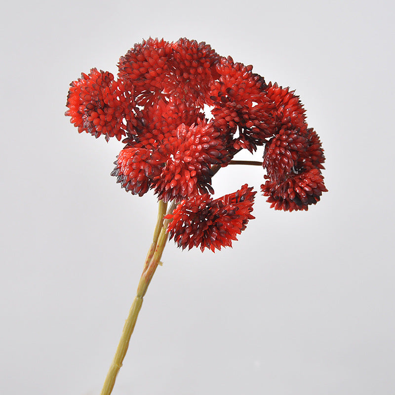 Liquidation en vrac 13 couleurs 8" Tiges de plantes succulentes Pick Plantes artificielles réalistes Vente en gros