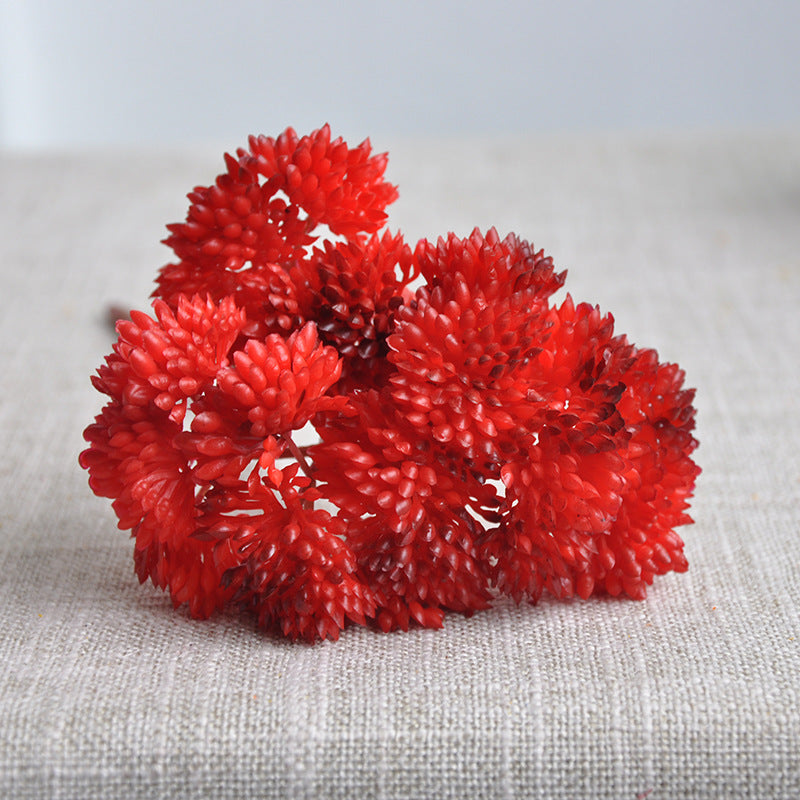 Liquidation en vrac 13 couleurs 8" Tiges de plantes succulentes Pick Plantes artificielles réalistes Vente en gros