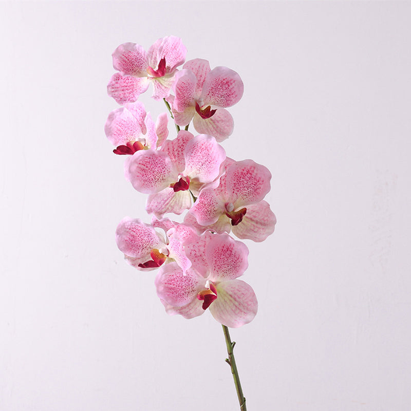 Bulk 31 inches Tall Extra Long Vanda Orchid Stems Real Touch Floral Wholesale