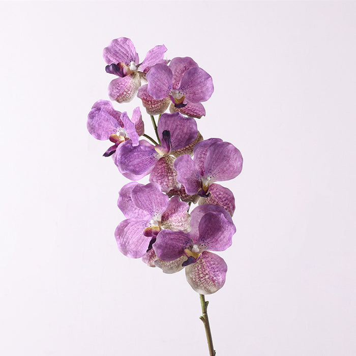 Bulk 31 inches Tall Extra Long Vanda Orchid Stems Real Touch Floral Wholesale