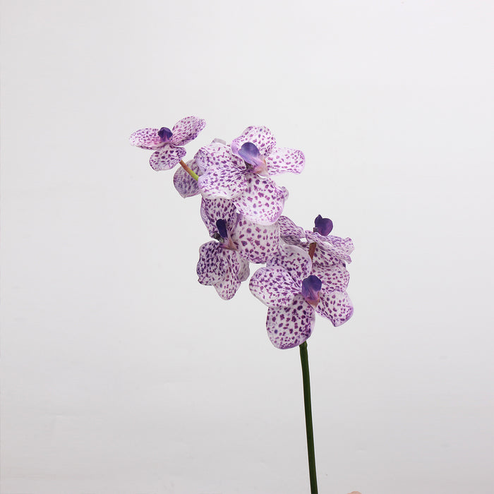 Bulk 21.6 inches Tall Dreamy Orchids Real Touch Flowers Stems Spray Wholesale