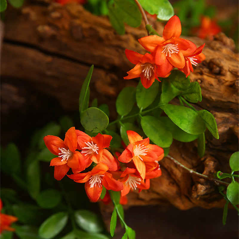 Tige de fleur de caroube extra longue en vrac Arrangement floral de fleurs jaunes de printemps en gros