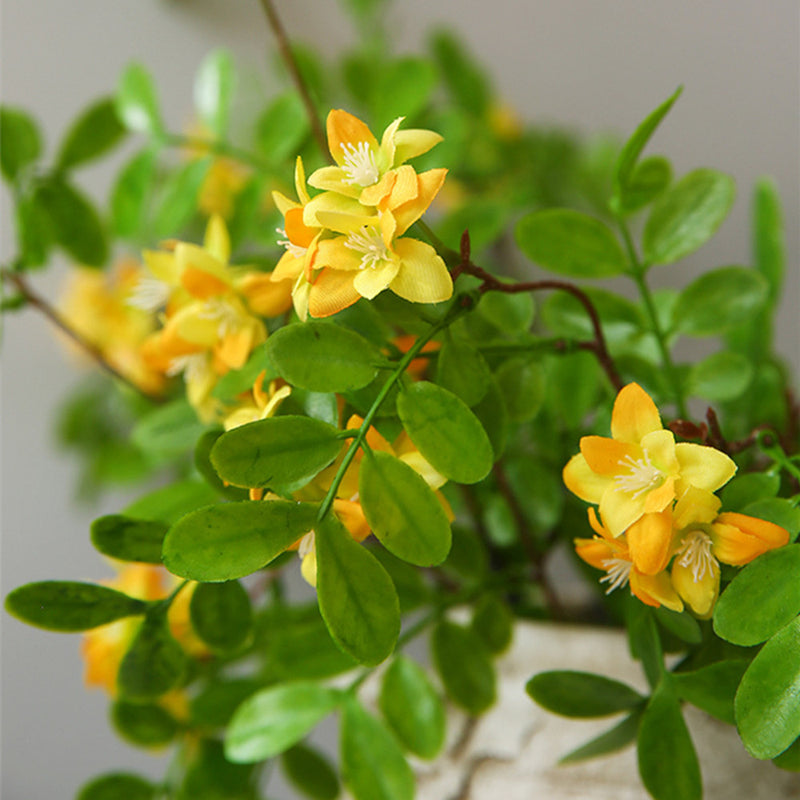 Tige de fleur de caroube extra longue en vrac Arrangement floral de fleurs jaunes de printemps en gros