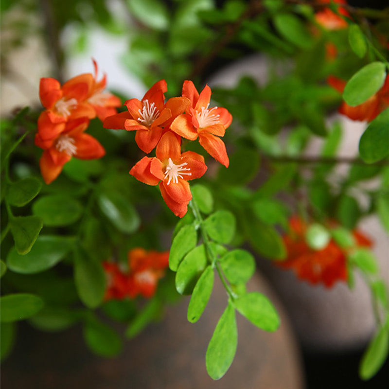 Tige de fleur de caroube extra longue en vrac Arrangement floral de fleurs jaunes de printemps en gros