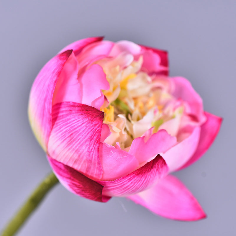 Bulk 6Pcs 26.7" Lotus Bouquet Long Stems Artificial Lotus Flower Arrangements Wholesale