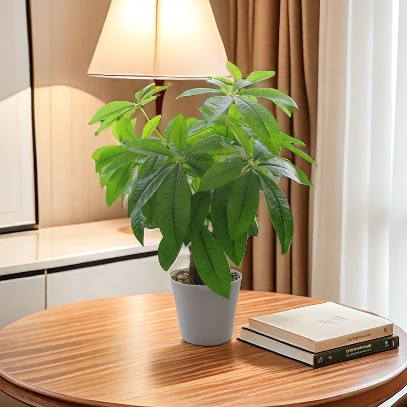 Bulk 17" Money Tree Potted Lucky Feng Shui Greenery Plant Wholesale