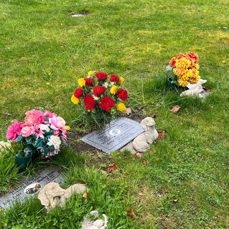 Bulk 23" Artificial Cemetery Mum Mixed Rose Buds Flower Bush for Graves Memorial Day Decor