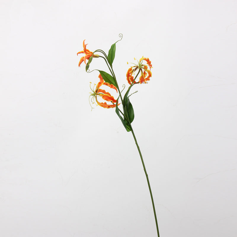 Bulk 29.5 inches Tall Gloriosa Lily Spray Stems Gloriosa Superba Flowers Wholesale