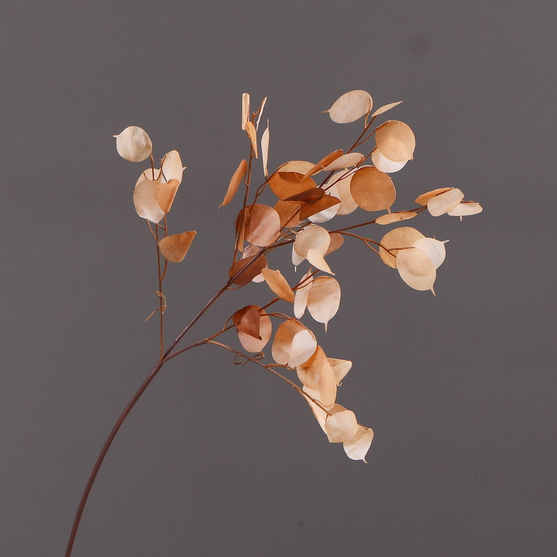 Tiges et branches de Lunaria Wabi-Sabi en vrac de 35 pouces, feuilles blanches et orange brûlées, plantes en gros