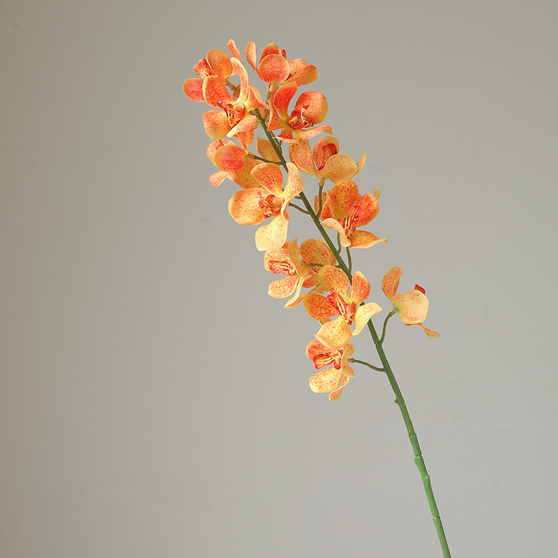 Bulk 30" Vanda Orchid Stems Real Touch Faux Spring Flowers Wholesale