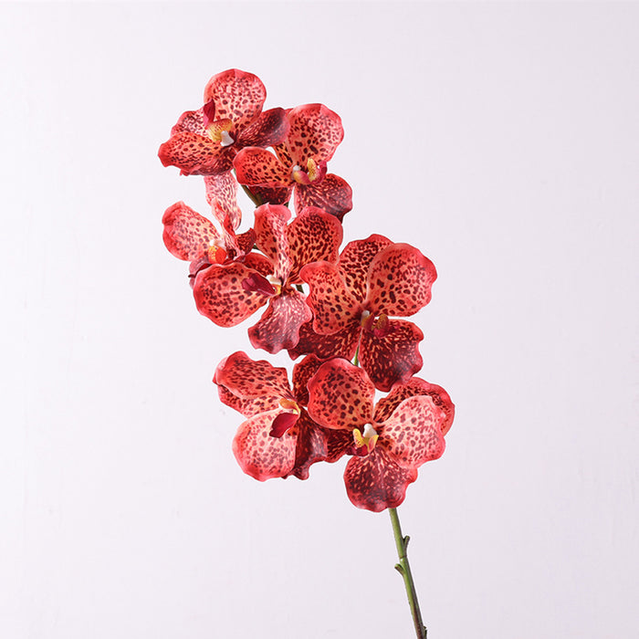 Bulk 31 inches Tall Extra Long Vanda Orchid Stems Real Touch Floral Wholesale