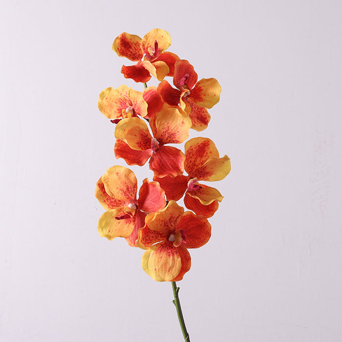 Bulk 31 inches Tall Extra Long Vanda Orchid Stems Real Touch Floral Wholesale