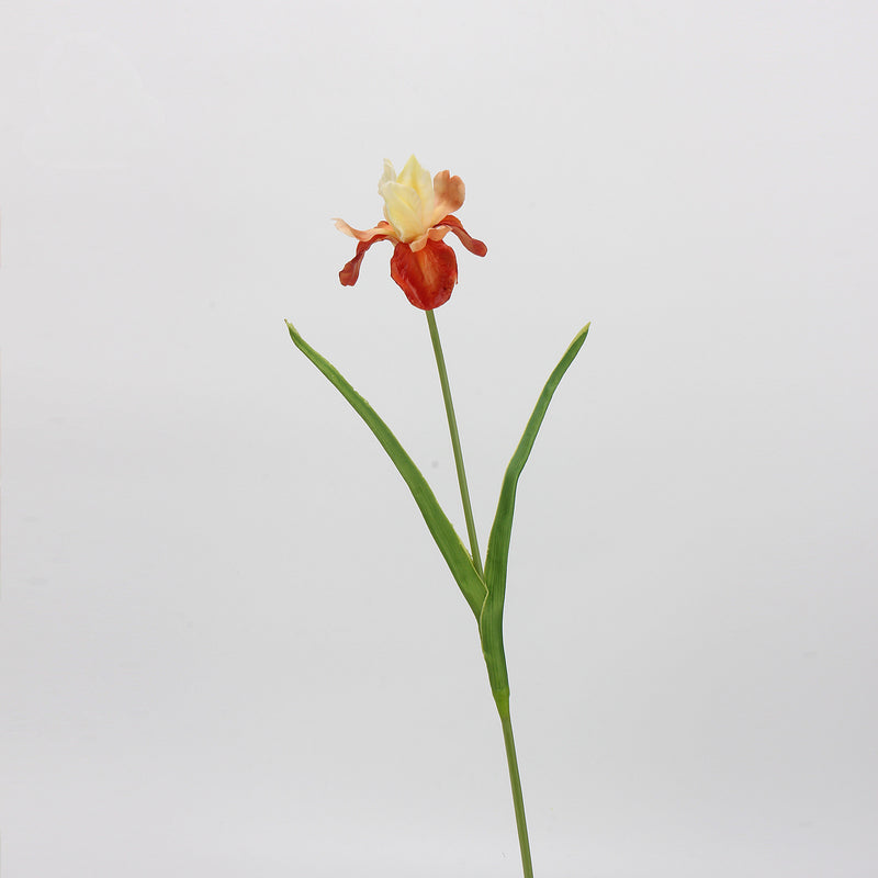 Tiges d'iris de 21,5 pouces de hauteur, fleurs d'iris au toucher réaliste, en gros, en exclusivité 