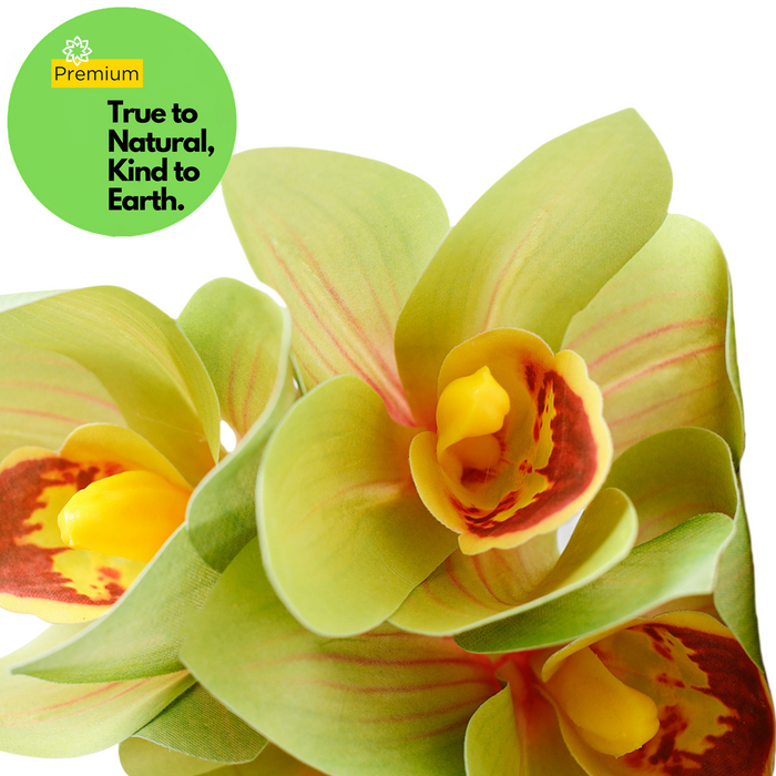 AM Basics 10" Primavera Cymbidium Orquídeas Tallo Real Touch Flor