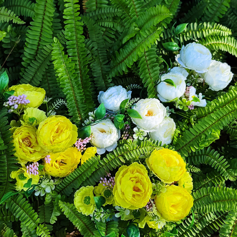 Bulk 4pcs 12" Small Mixed Peony Daisy Bush Plants for Outdoors Spring Outdoor Flowers Wholesale