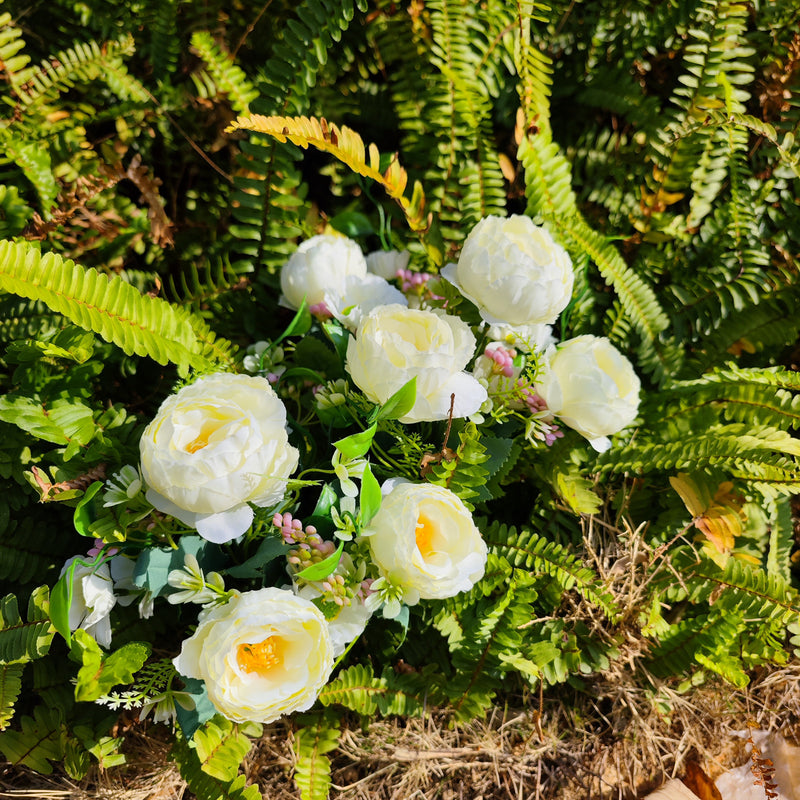 Bulk 4pcs 12" Small Mixed Peony Daisy Bush Plants for Outdoors Spring Outdoor Flowers Wholesale