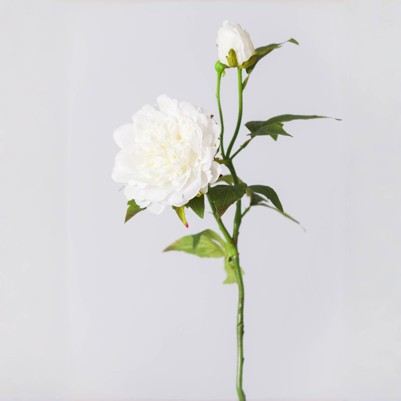 Premium Real Touch Peony Flower Stem - 25.6"