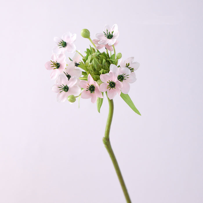 Bulk 25.5 inches Tall Star of Bethlehem Stem Silk Ornithogalum Flowers Artificial Wholesale