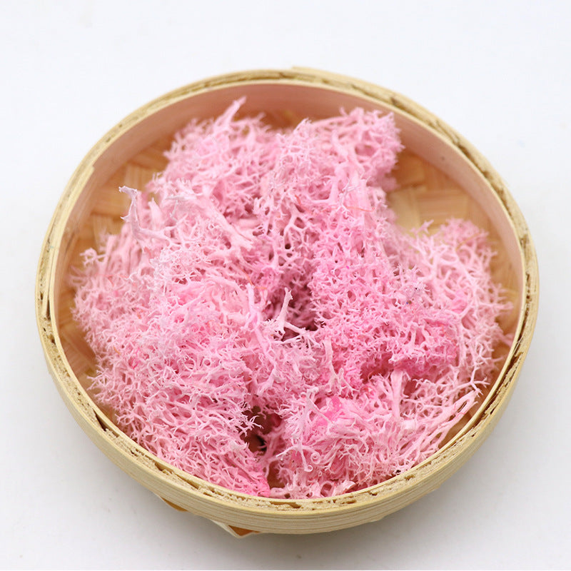 Musgo conservado a granel para manualidades, centros de mesa, jardín de hadas, decoración para fiesta de boda, venta al por mayor 