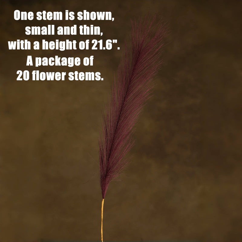 Bulk 20pcs 21.6" Plum Pampas Stems for Floral Arrangements Wholesale