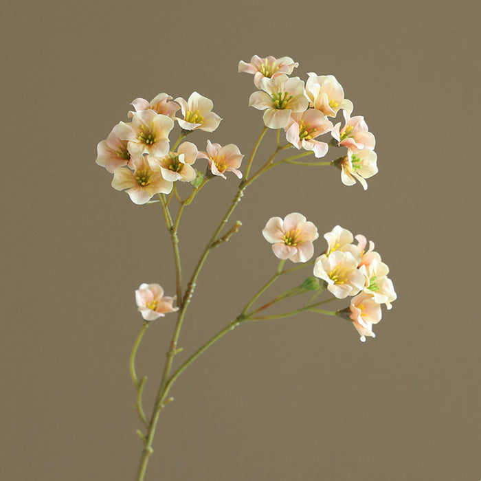 Bulk 2Pcs Waxflower Stems Plum Floral Artificial Wholesale