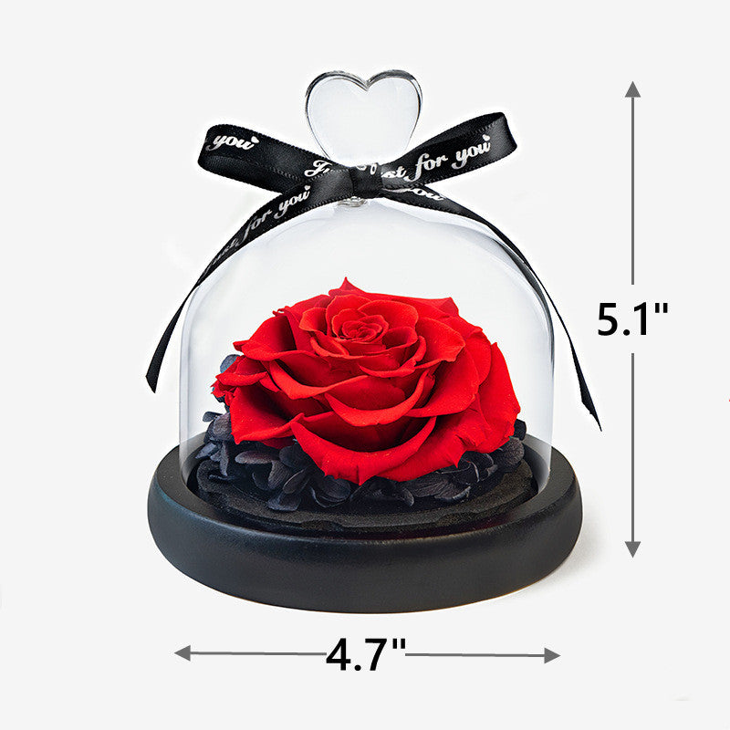 Bulk 4Pcs Preserved Rose Gifts with Valentine Gift Jewelry Ring and Cards Wholesale