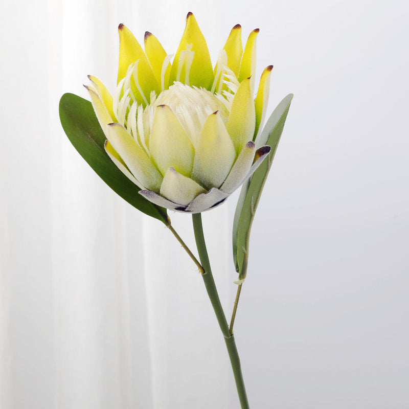 Lot de 12 tiges de Protea de 15 pouces pour vase de 9 pouces, compositions florales pour table de mariage, vente en gros