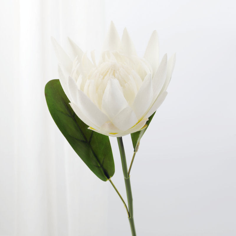 Lot de 12 tiges de Protea de 15 pouces pour vase de 9 pouces, compositions florales pour table de mariage, vente en gros