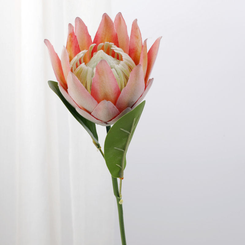 Lot de 12 tiges de Protea de 15 pouces pour vase de 9 pouces, compositions florales pour table de mariage, vente en gros