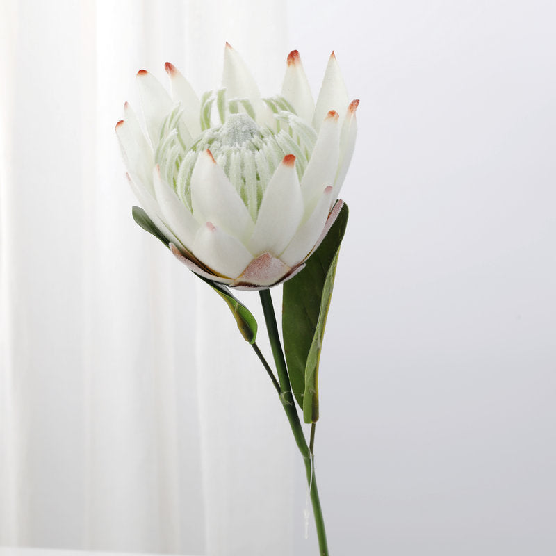 Lot de 12 tiges de Protea de 15 pouces pour vase de 9 pouces, compositions florales pour table de mariage, vente en gros