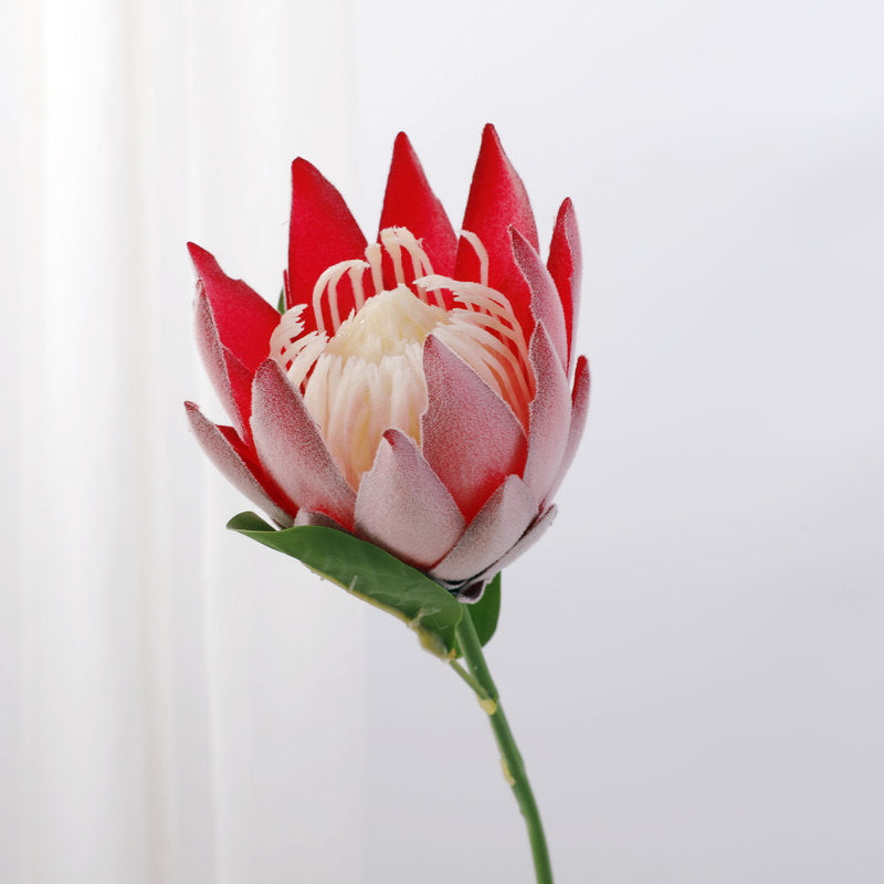 Lot de 12 tiges de Protea de 15 pouces pour vase de 9 pouces, compositions florales pour table de mariage, vente en gros