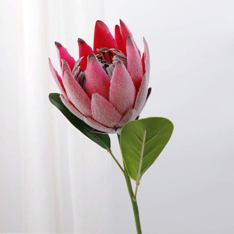 Lot de 12 tiges de Protea de 15 pouces pour vase de 9 pouces, compositions florales pour table de mariage, vente en gros