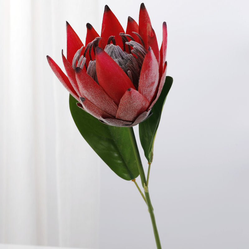 Lot de 12 tiges de Protea de 15 pouces pour vase de 9 pouces, compositions florales pour table de mariage, vente en gros