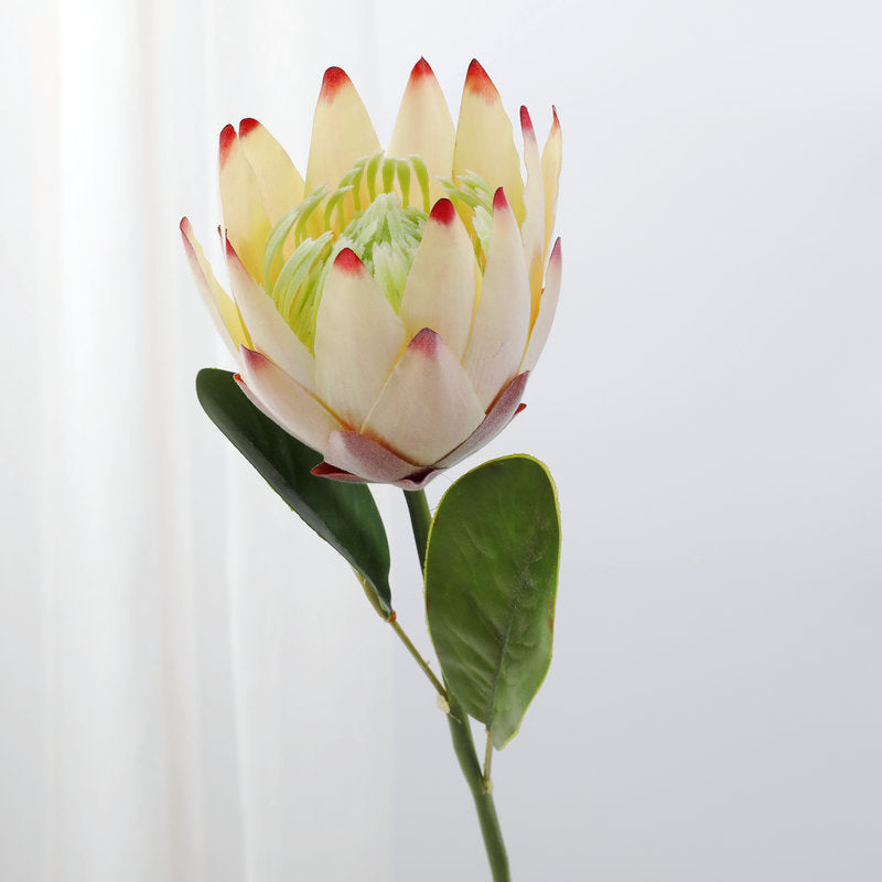 Lot de 12 tiges de Protea de 15 pouces pour vase de 9 pouces, compositions florales pour table de mariage, vente en gros