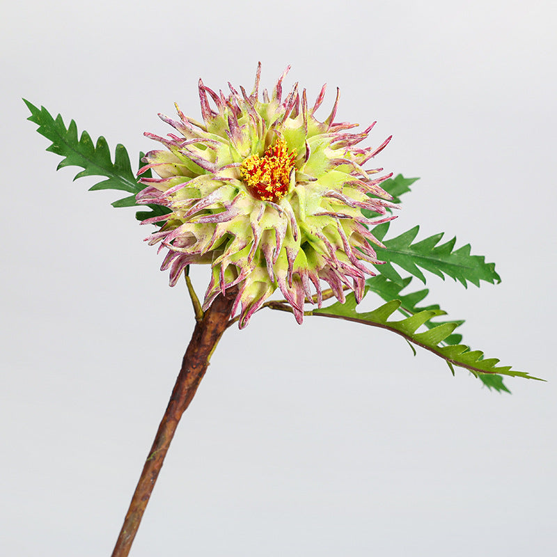 Bulk 14.5" Cirsii Herba Stems for Wedding Home Decor Wholesale