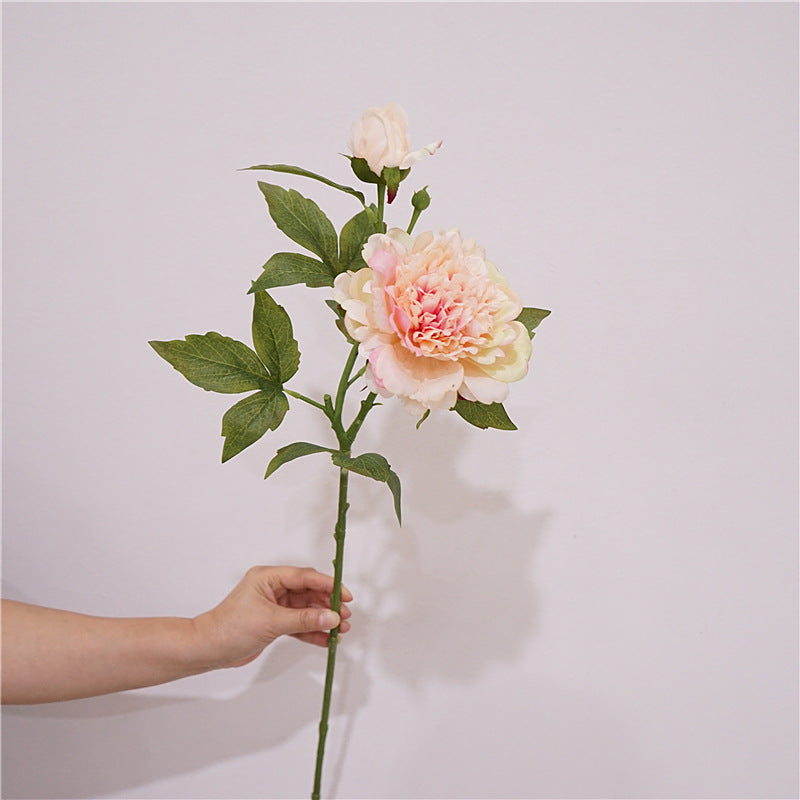 Tige de pivoine au toucher réaliste de qualité supérieure