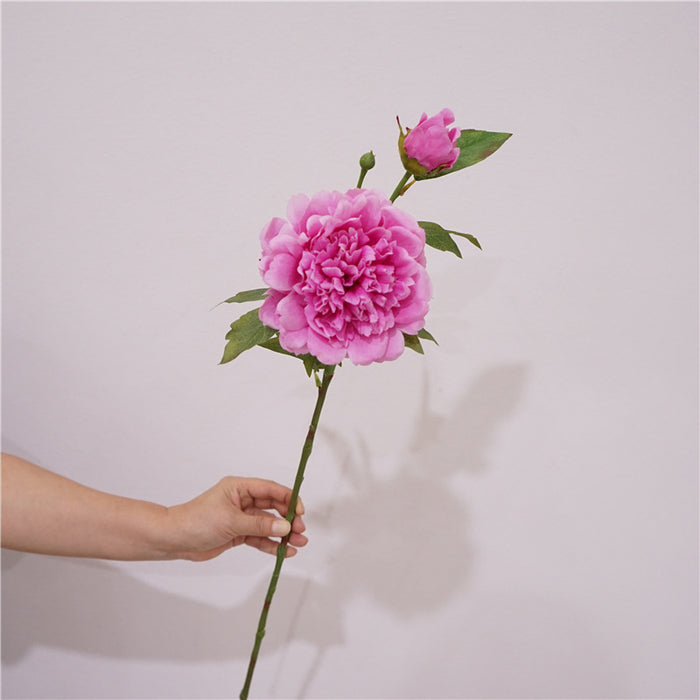 Premium Real Touch Peony Stem