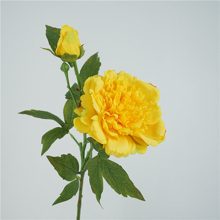 Premium Real Touch Peony Stem