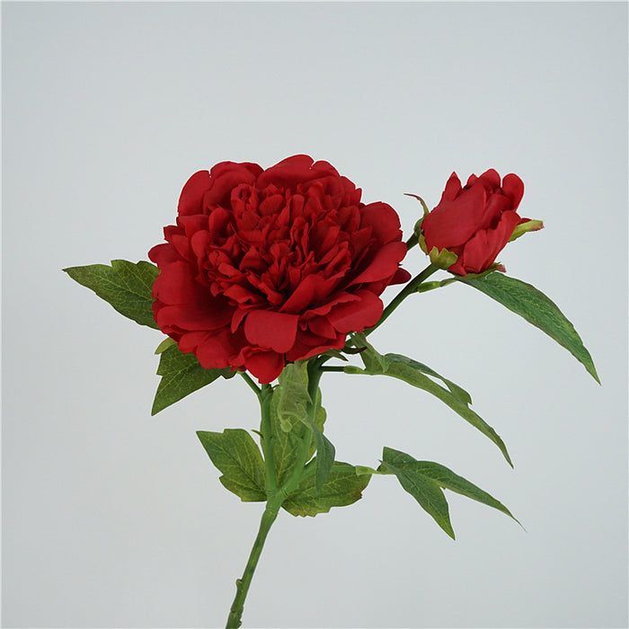 Premium Real Touch Peony Stem