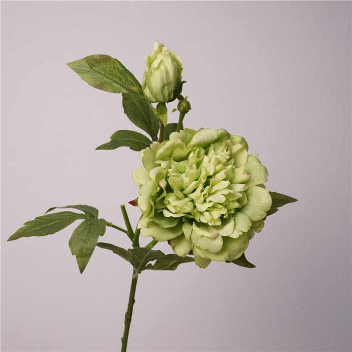 Premium Real Touch Peony Stem